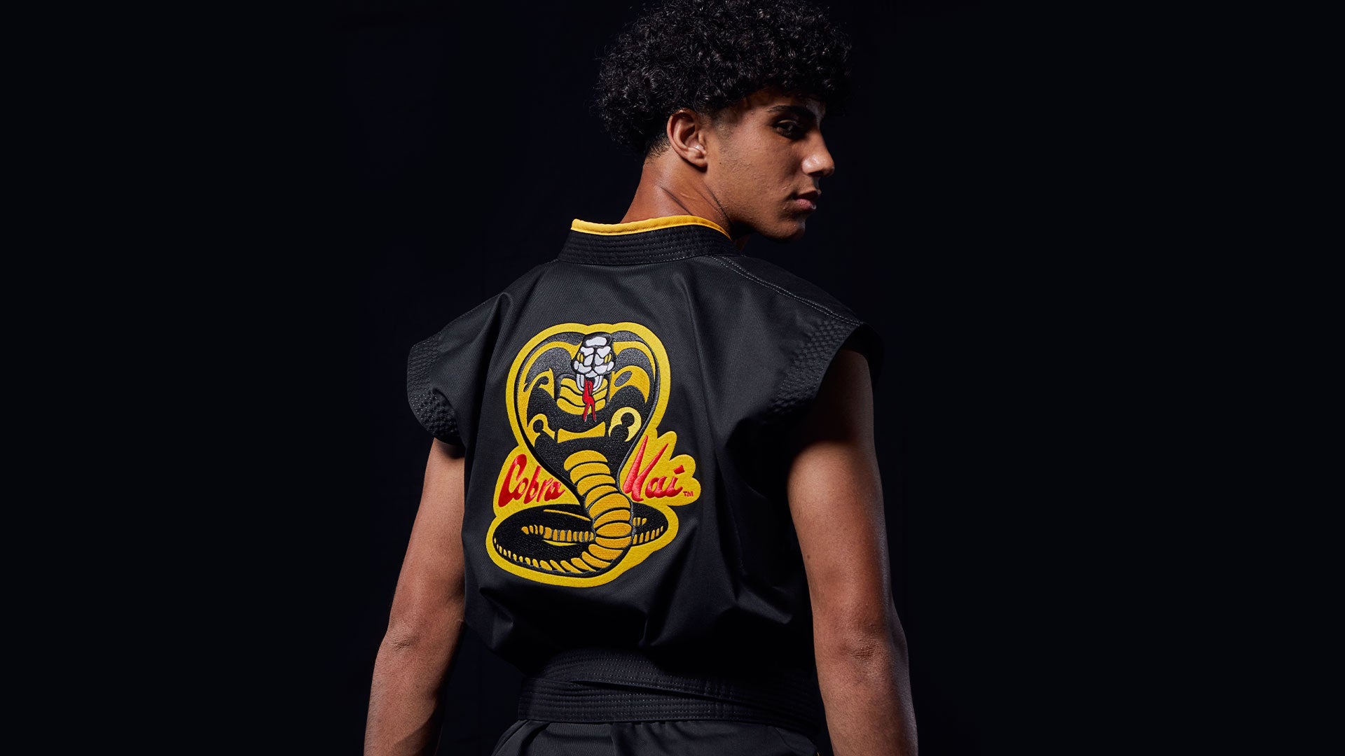 Cobra Kai Century Martial Arts Eagle Fang Cobra Kai Tees