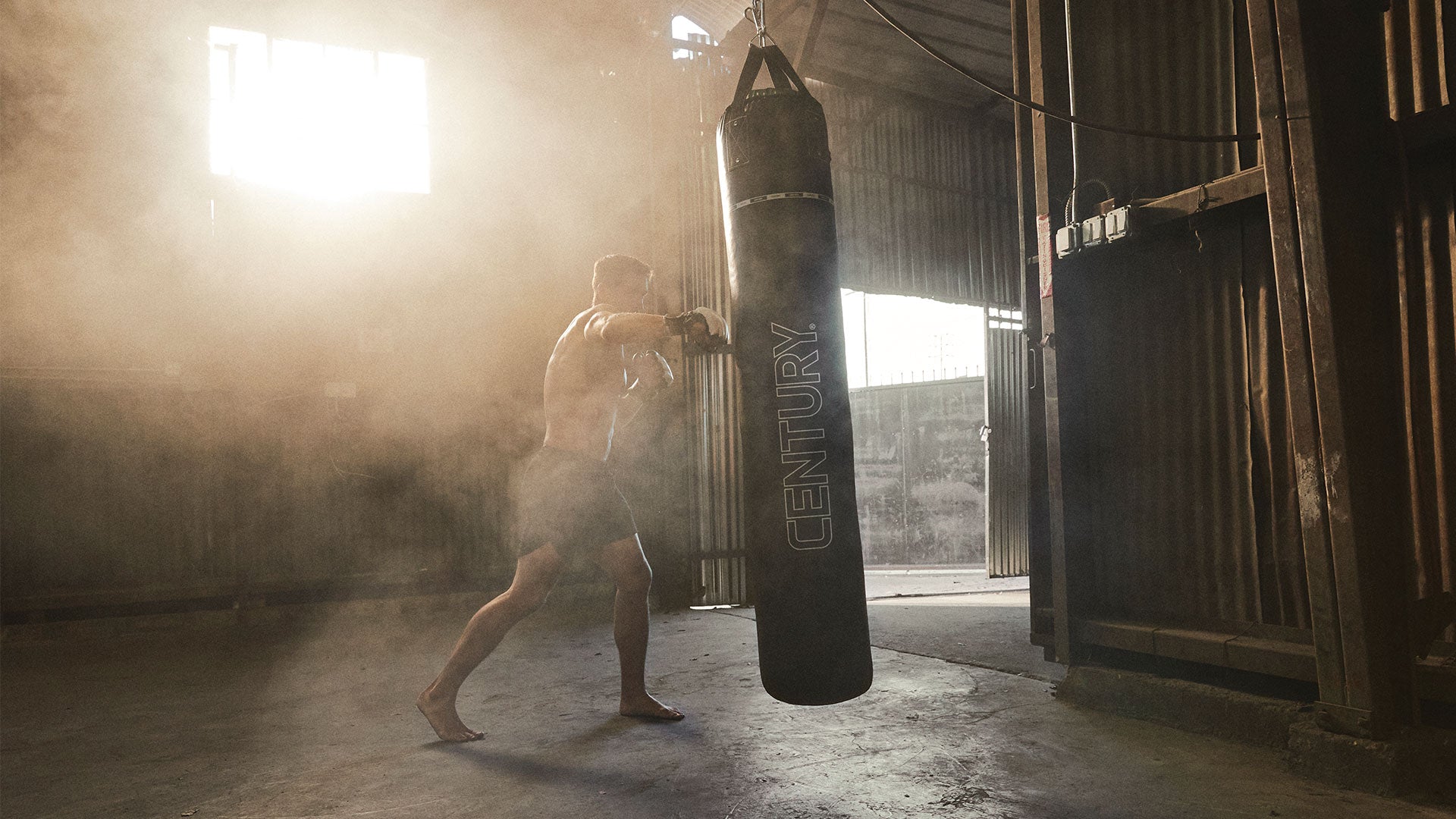 Creed Training Bags Century Martial Arts Heavy Bags Hanging Bags