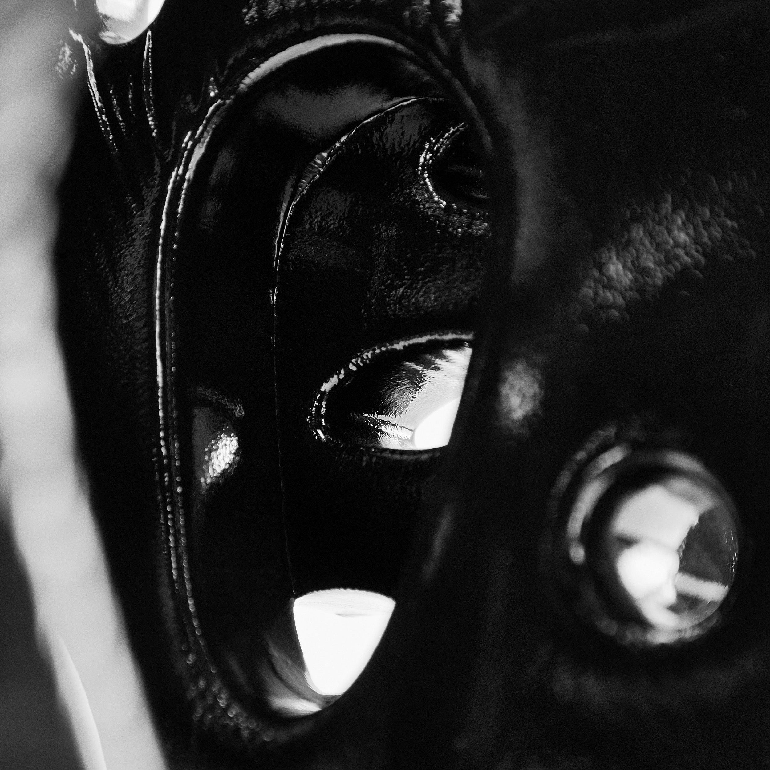 close up of ear enclosure