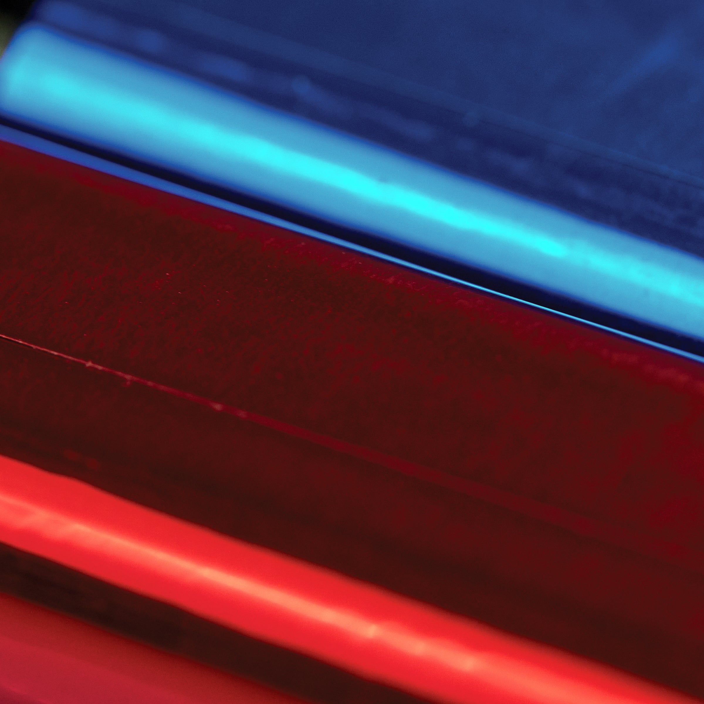 close-up of red and blue bo