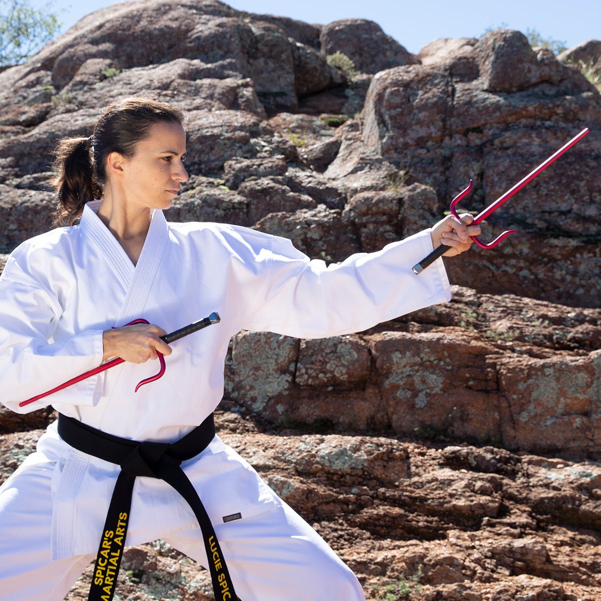 Aluminum Octagon Sai aluminum-octagon-sai-215551