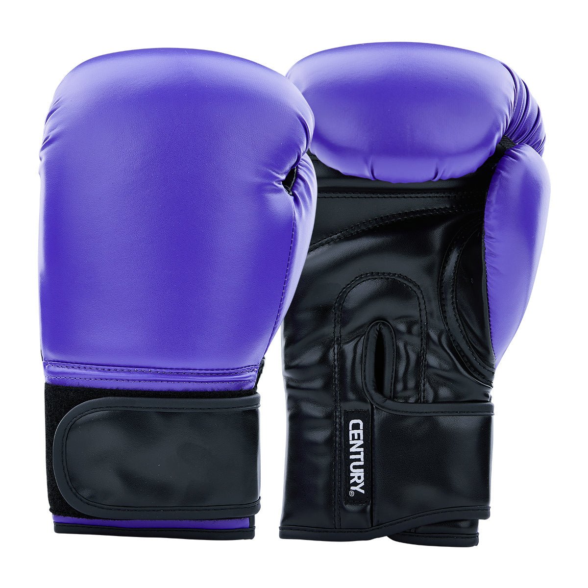 Century Solid Boxing Glove century-solid-boxing-glove-303114