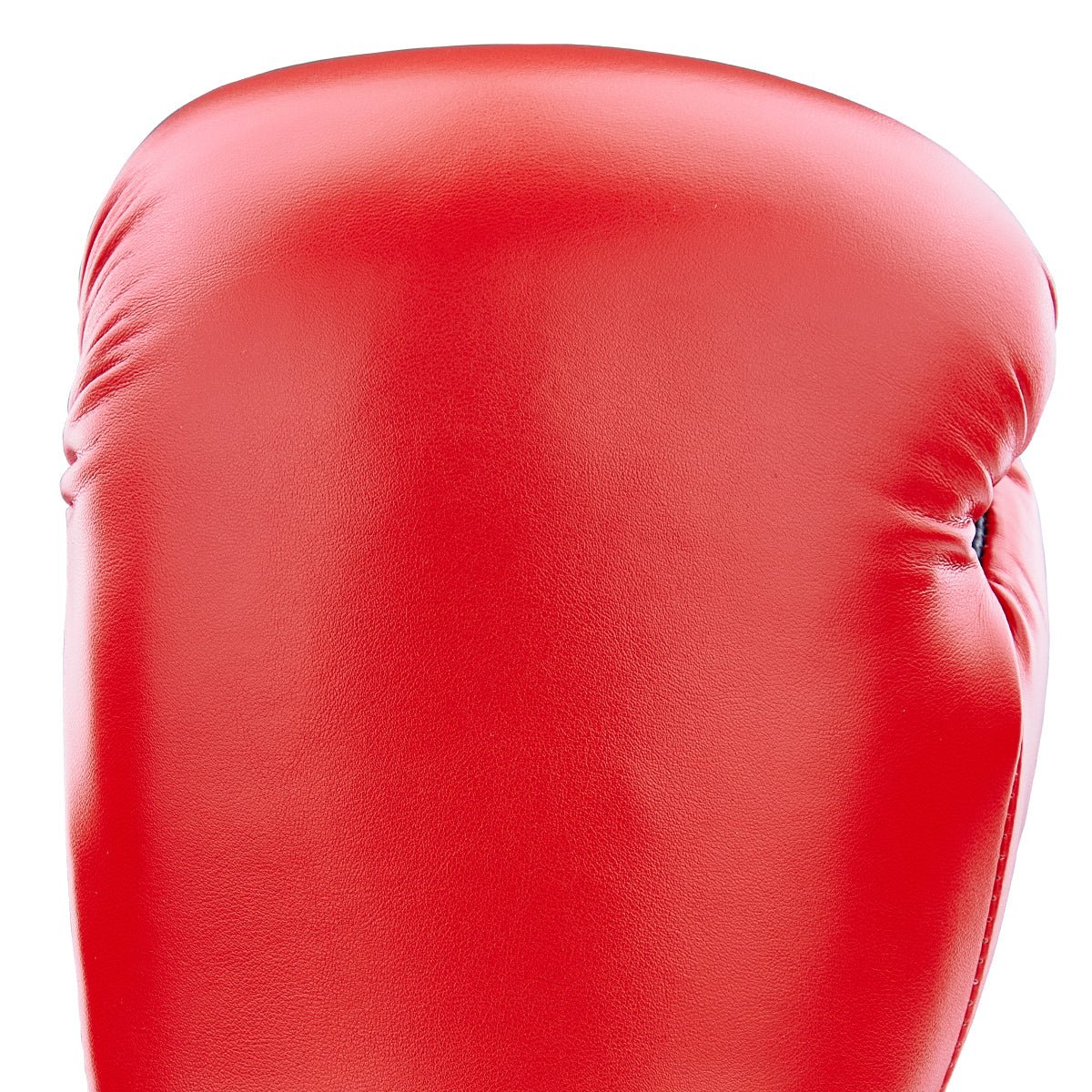 Century Solid Boxing Glove century-solid-boxing-glove-564945