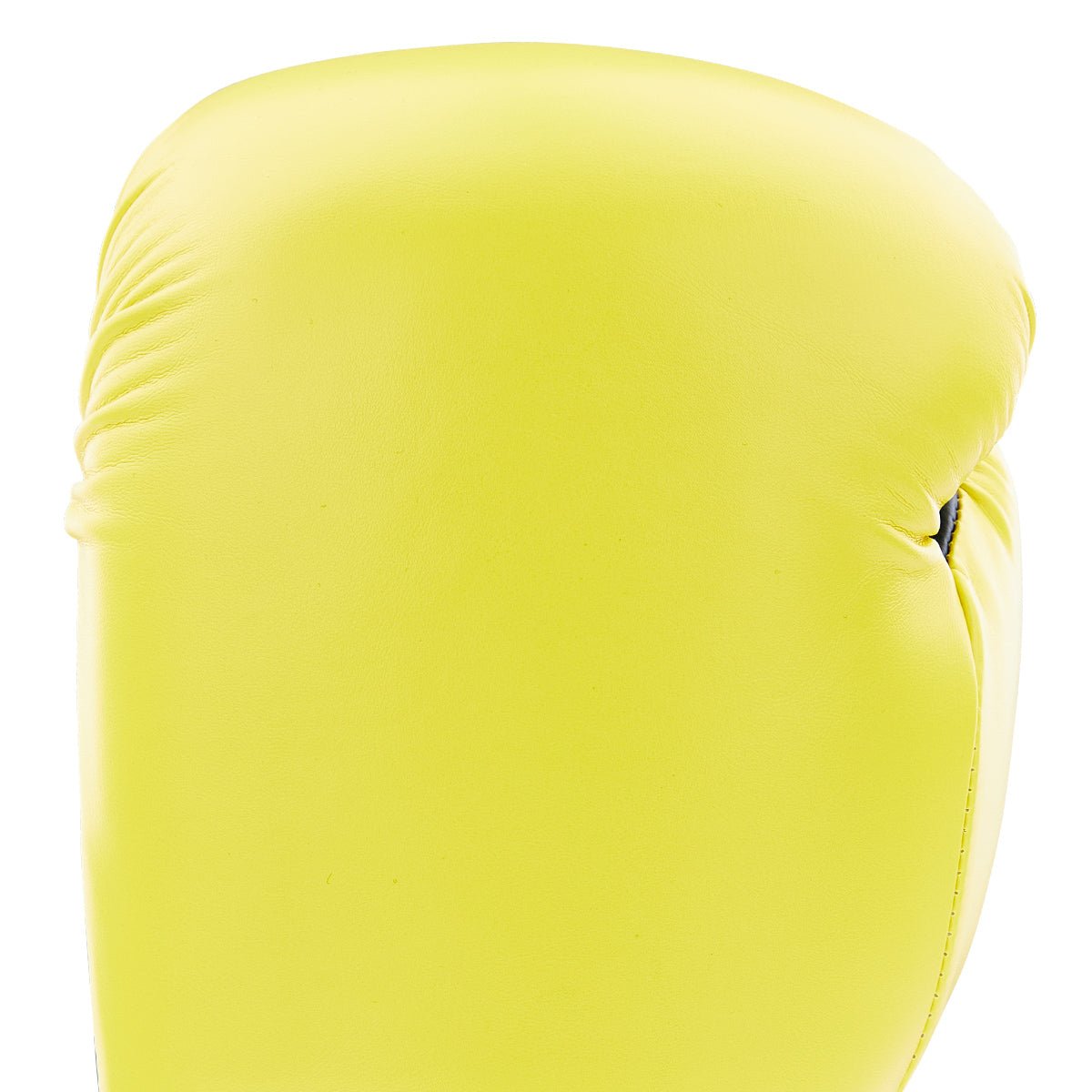 Century Solid Boxing Glove century-solid-boxing-glove-655233