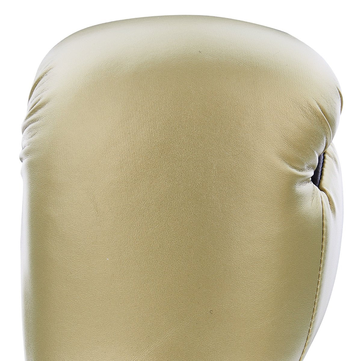 Century Solid Boxing Glove century-solid-boxing-glove-733029