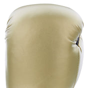 Century Solid Boxing Glove century-solid-boxing-glove-733029