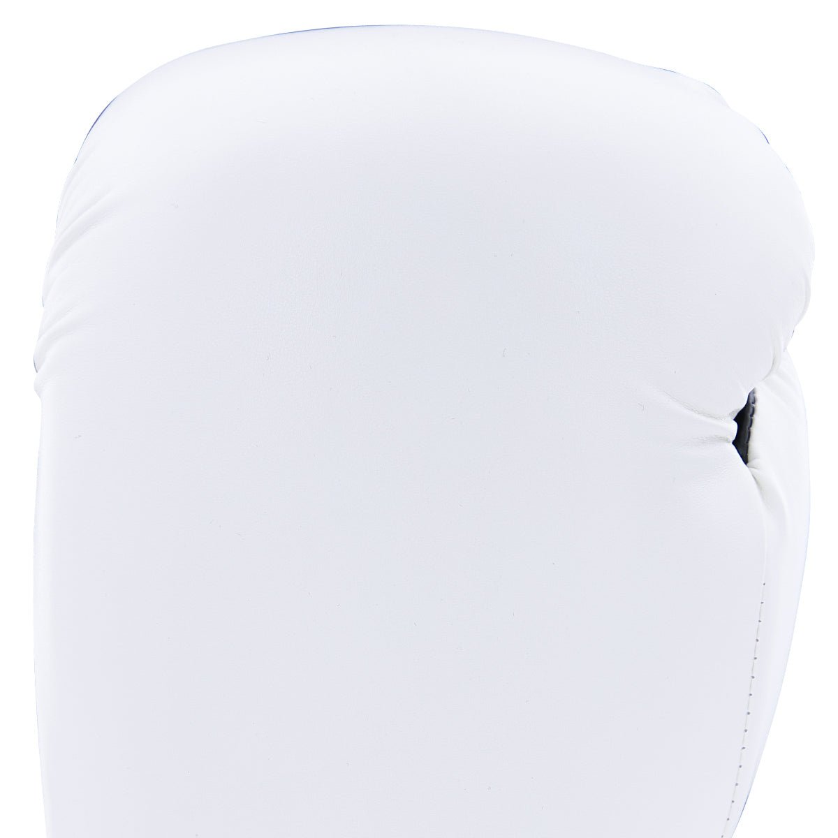 Century Solid Boxing Glove century-solid-boxing-glove-800038