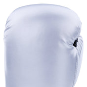 Century Solid Boxing Glove century-solid-boxing-glove-861592