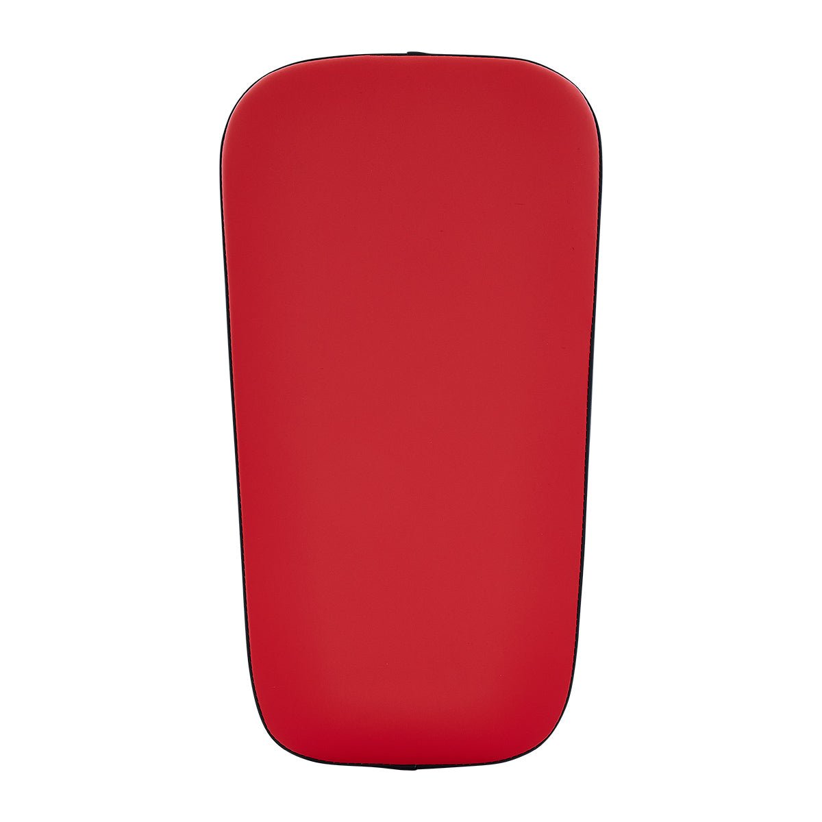 Century Solid Thai Pad Pair century-solid-thai-pad-pair-808683