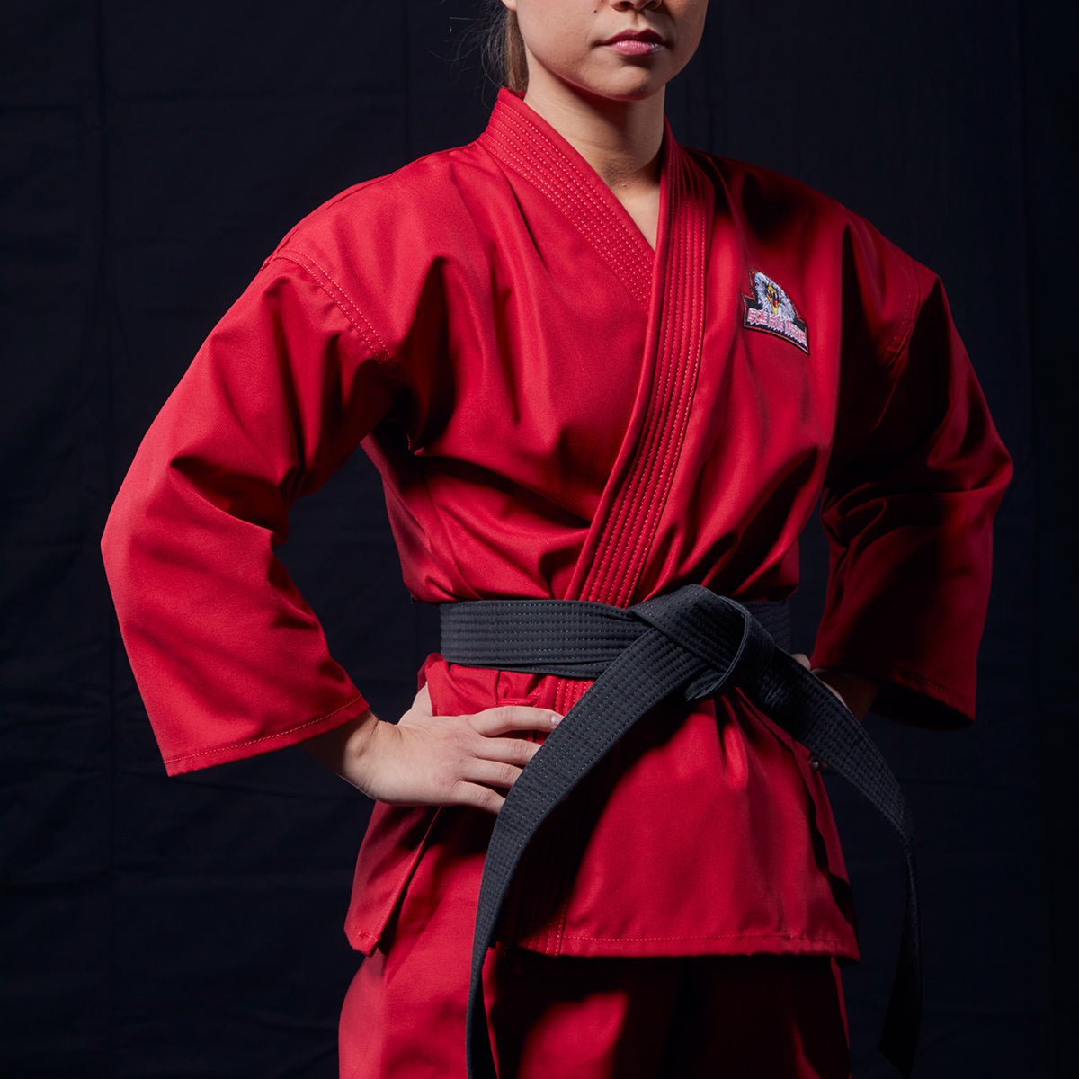 Eagle Fang Karate Gi eagle-fang-karate-gi-308399