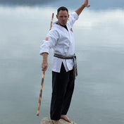 Hand Carved Rattan Bo Staff hand-carved-rattan-bo-staff-398288