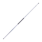 Holographic Ice Bo holographic-ice-bo-673174