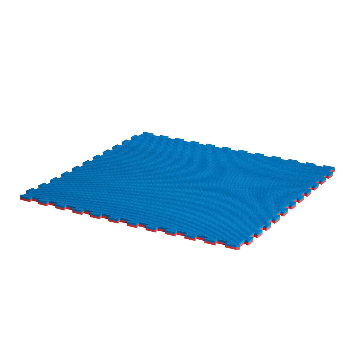 Reversible Puzzle Mat Blue Red