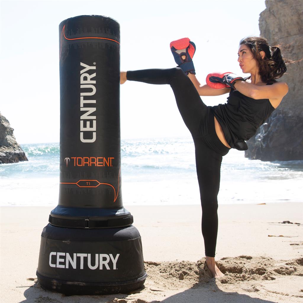 Torrent T1 torrent-t1-695892