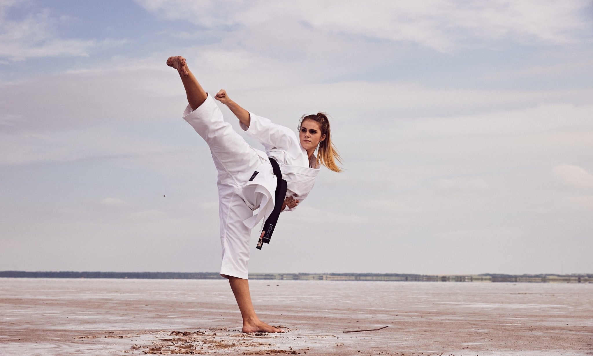The Four Main Karate Styles and Their Differences