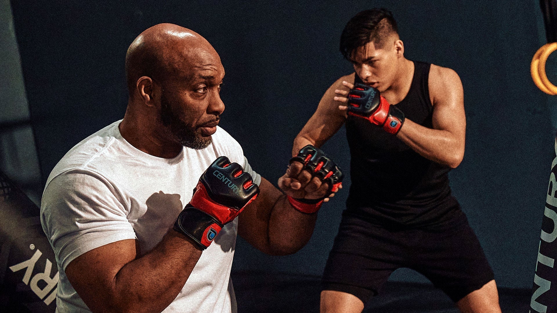 Fitness & Training Gloves - Century Martial Arts