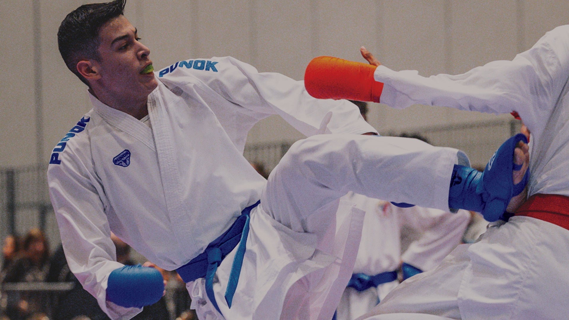 Karate | Century Martial Arts | Karate Sparring Gear | Karate