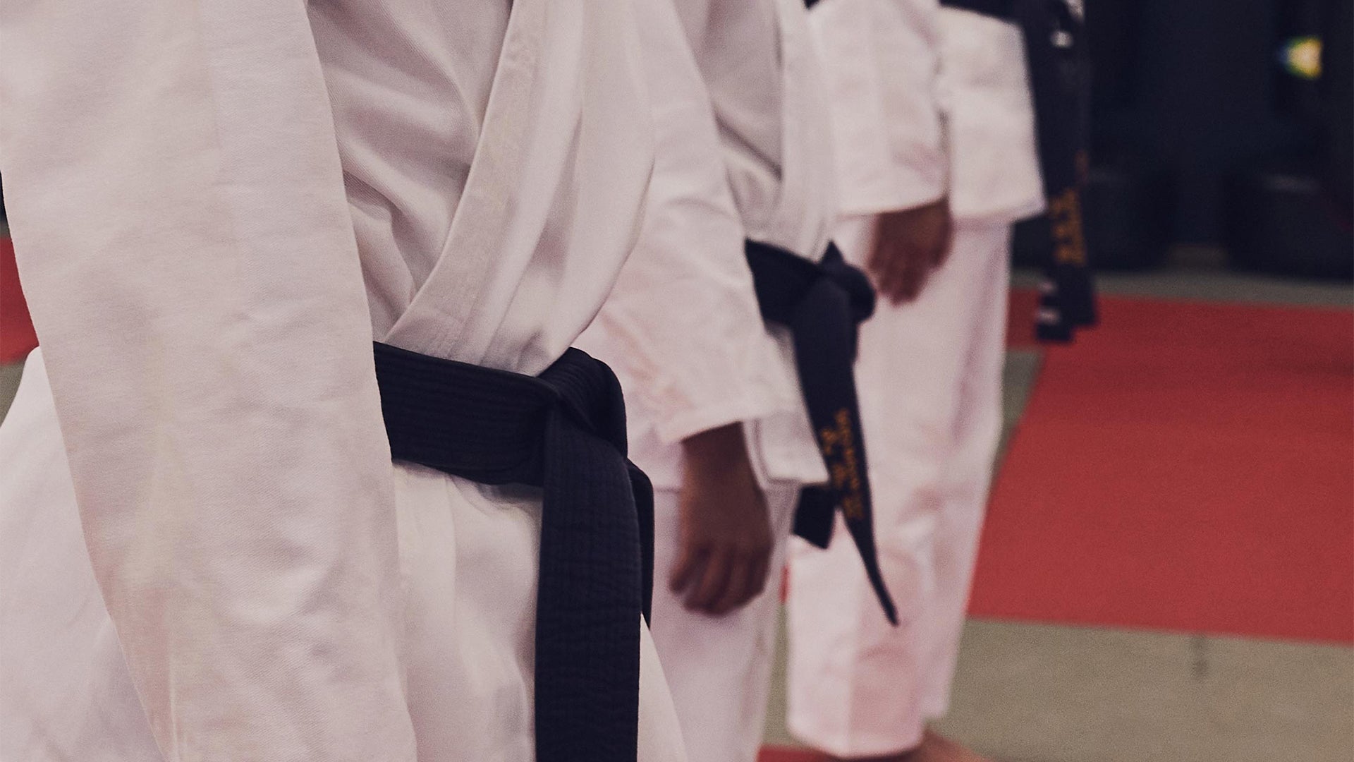 Taekwondo Belts - Century Martial Arts