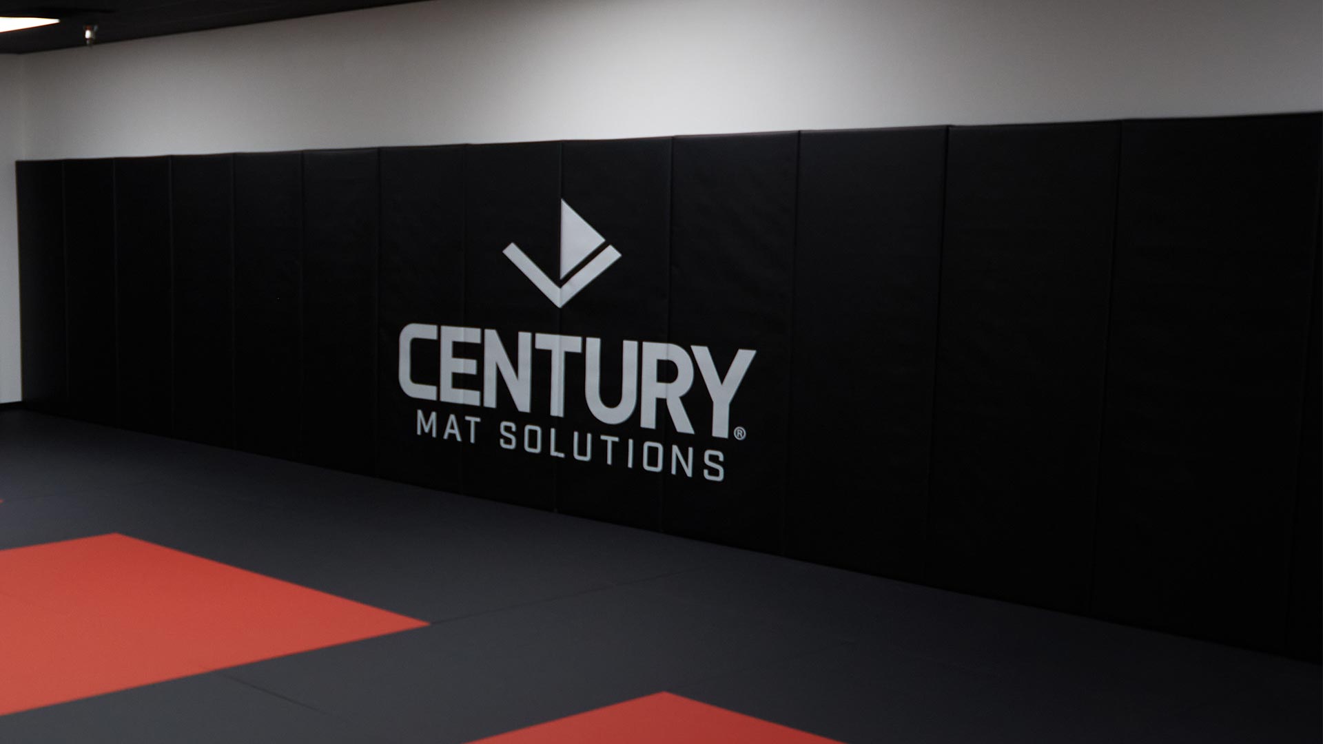 Wall & Post Pads - Century Martial Arts