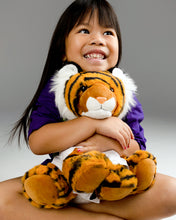 Rocky the Tiger