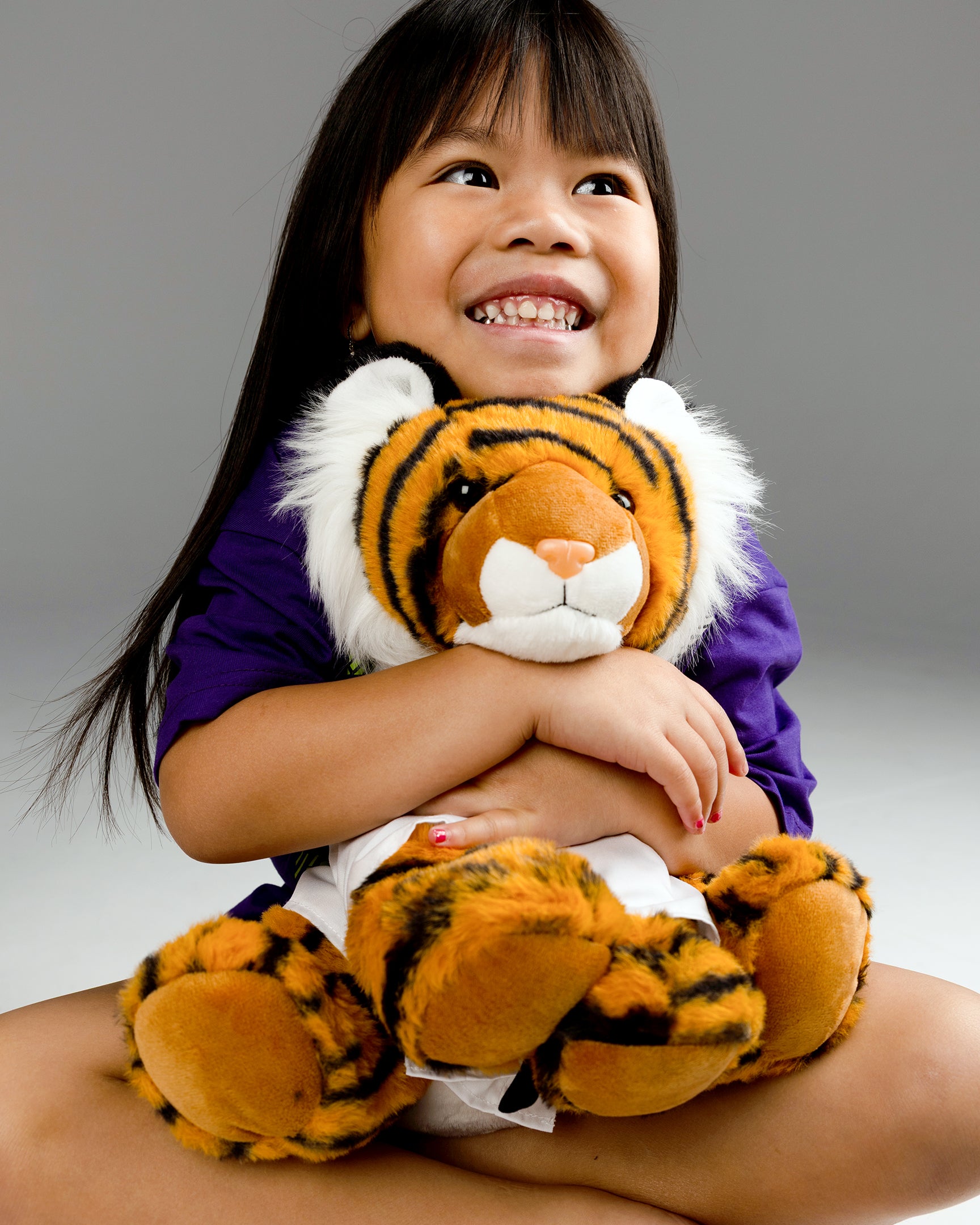Rocky the Tiger
