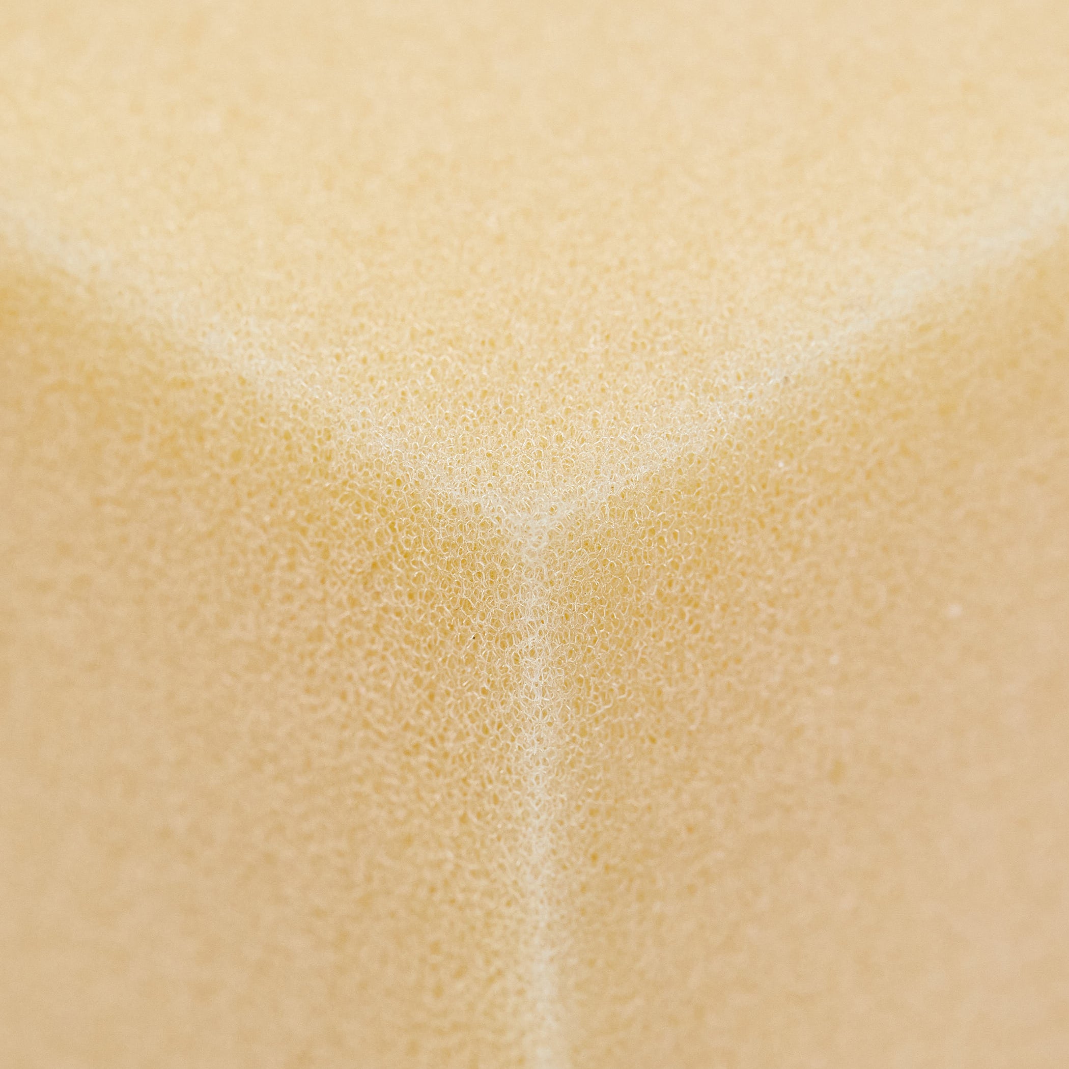 close up of foam
