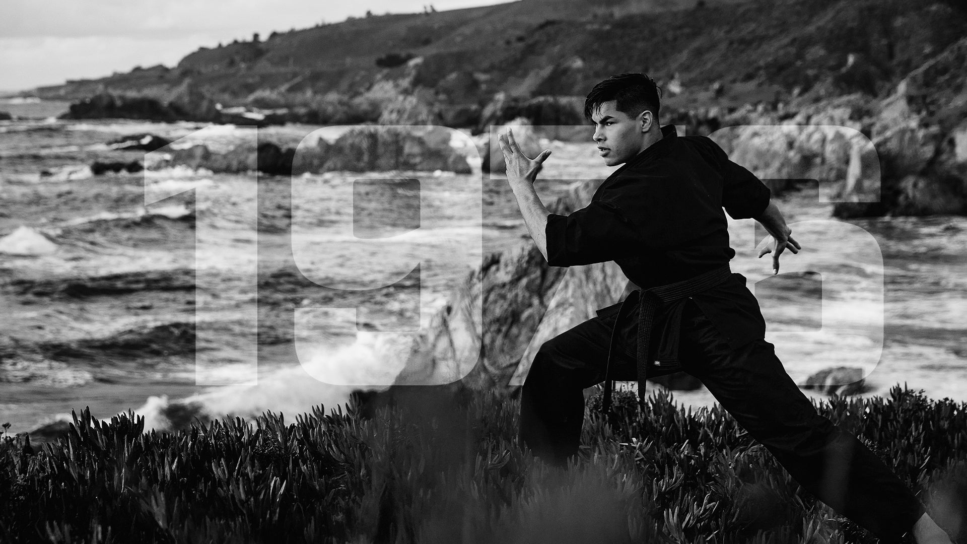 Century Martial Arts | Martial Arts Uniforms & Gear | Punching Bags
