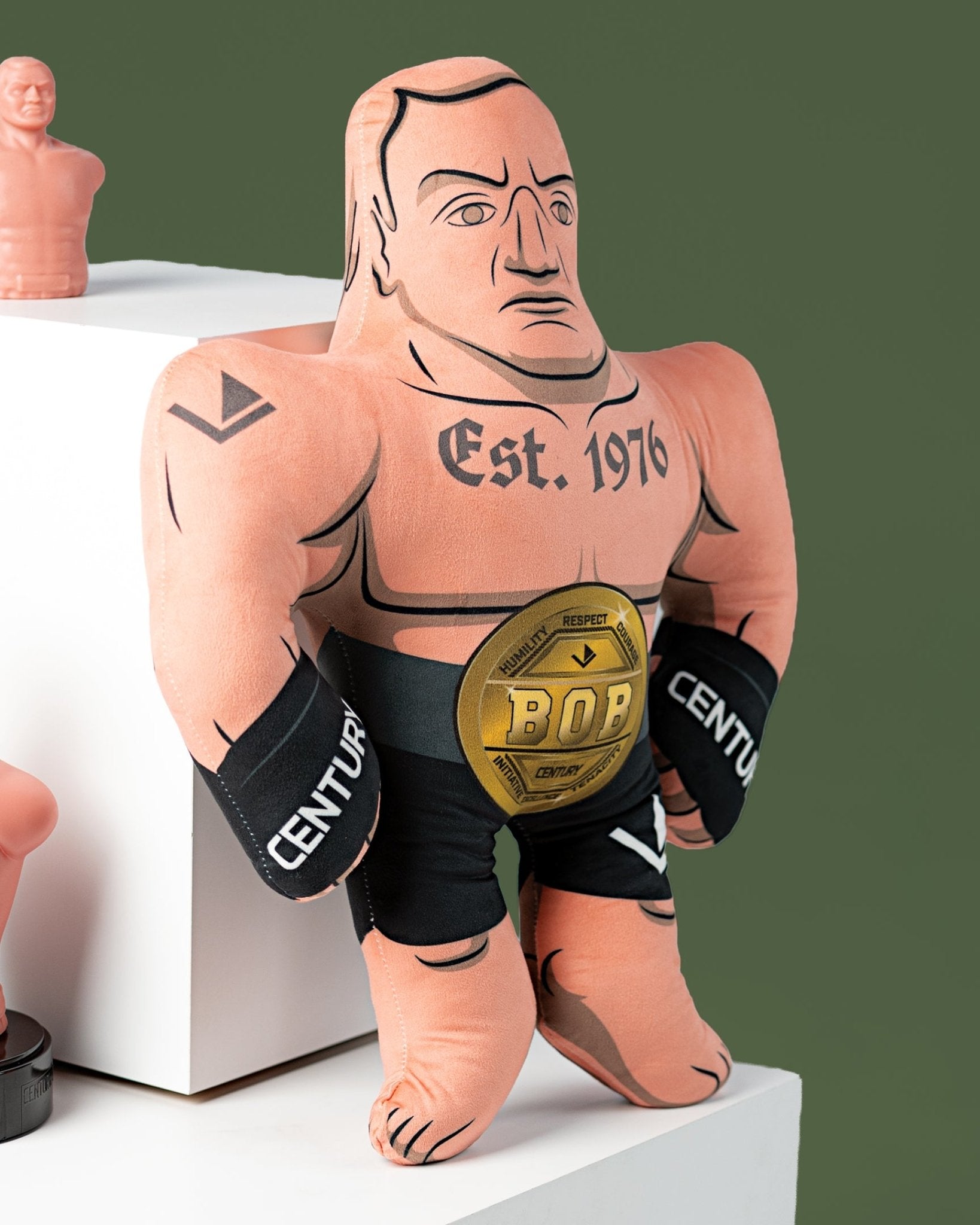 BOB Fight Pillow