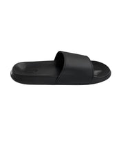 Gameness Slides