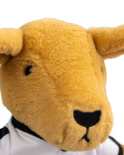 Lil' Dragon and Friends Kangaroo Plush Toy