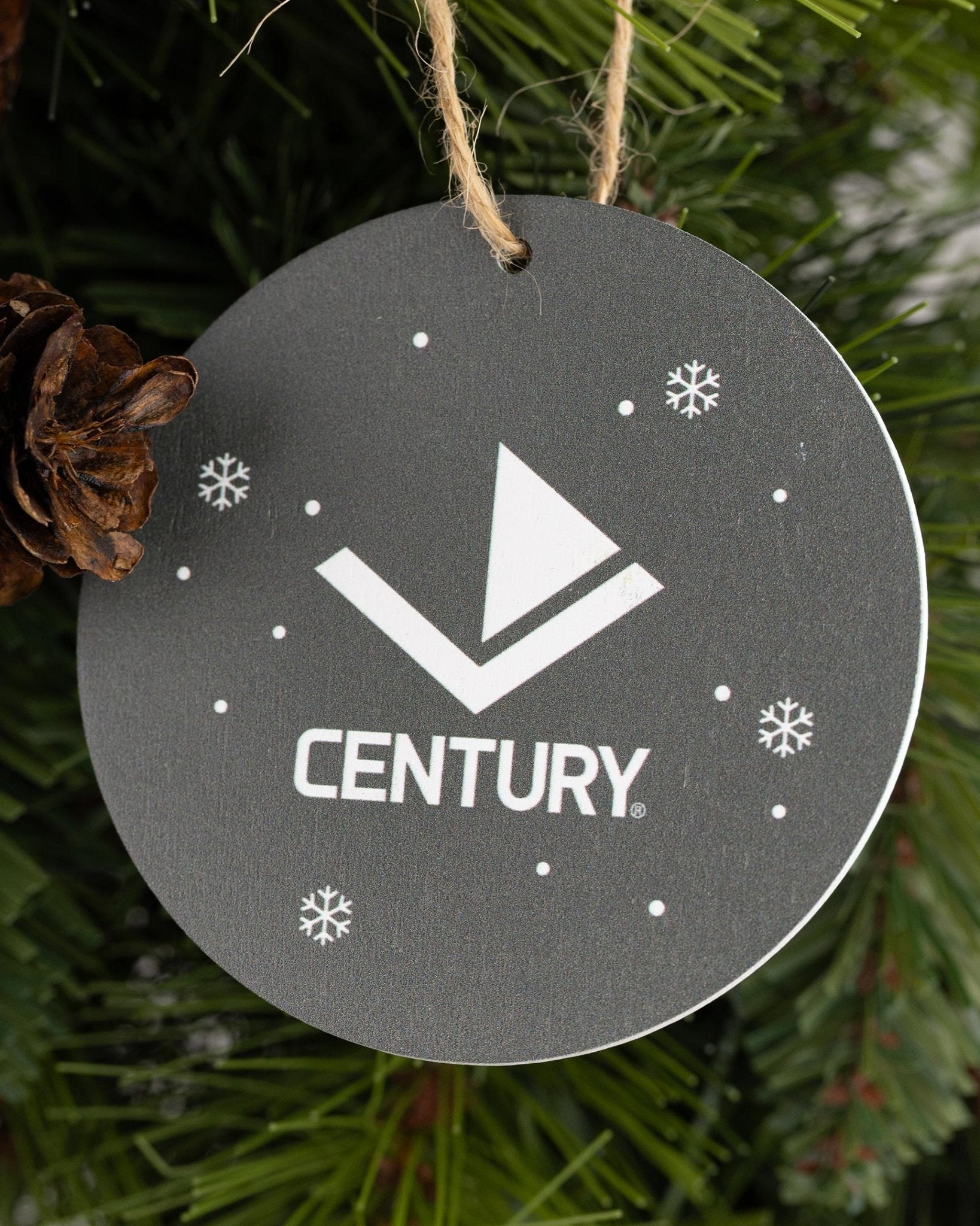 Lil' Dragon and Friends Ornaments - 3 Pack lil-dragon-and-friends-ornaments-3-pack-8919563