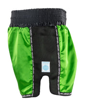 WAKO K1/LOW KICK SHORT 2.0 wako-ktlow-kick-shorts-20-7036439