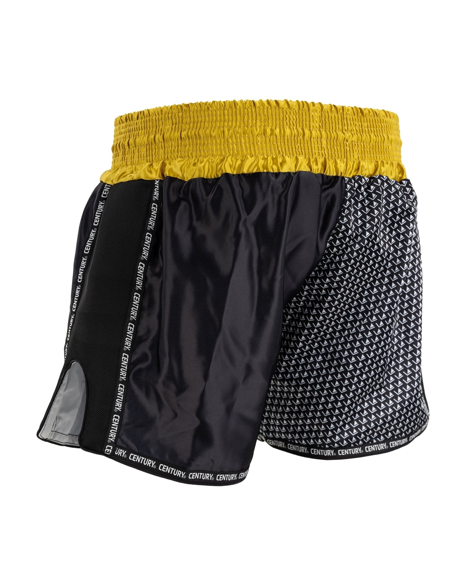 WAKO Tenacity K1/Low Kick Shorts – Century Martial Arts