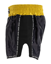 WAKO Tenacity K1/Low Kick Shorts wako-tenacity-k1low-kick-shorts-8288179