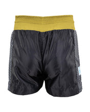 WAKO Tenacity Kickboxing Shorts wako-tenacity-kickboxing-shorts-2291497