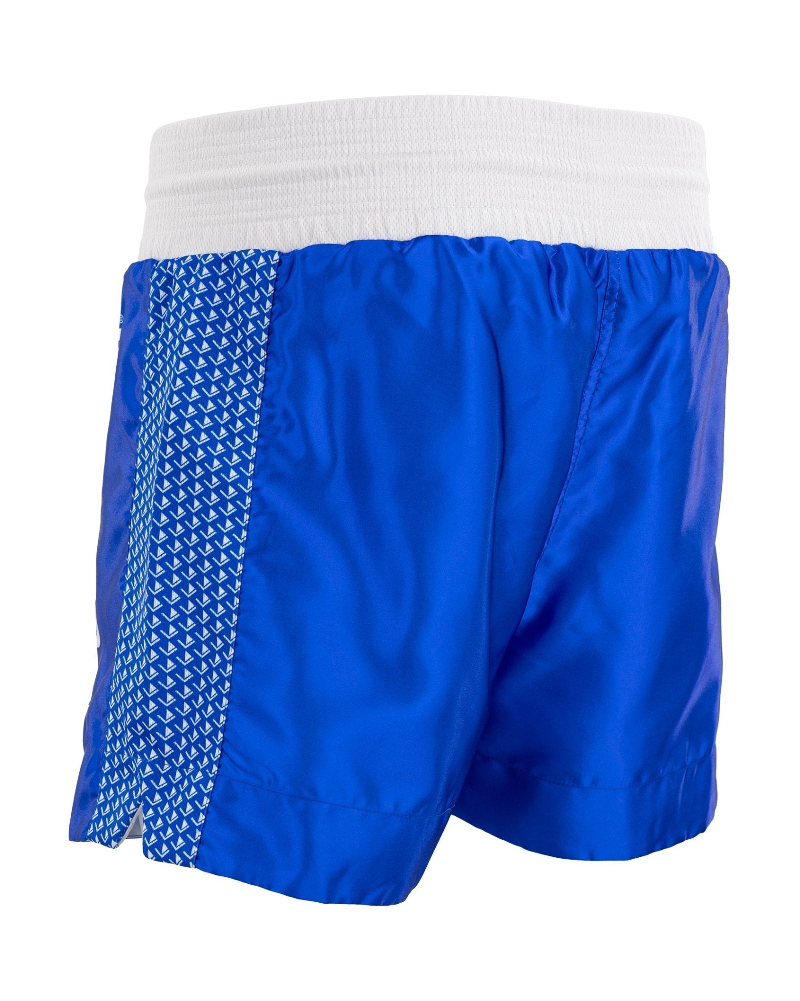 WAKO Tenacity Kickboxing Shorts wako-tenacity-kickboxing-shorts-6865064