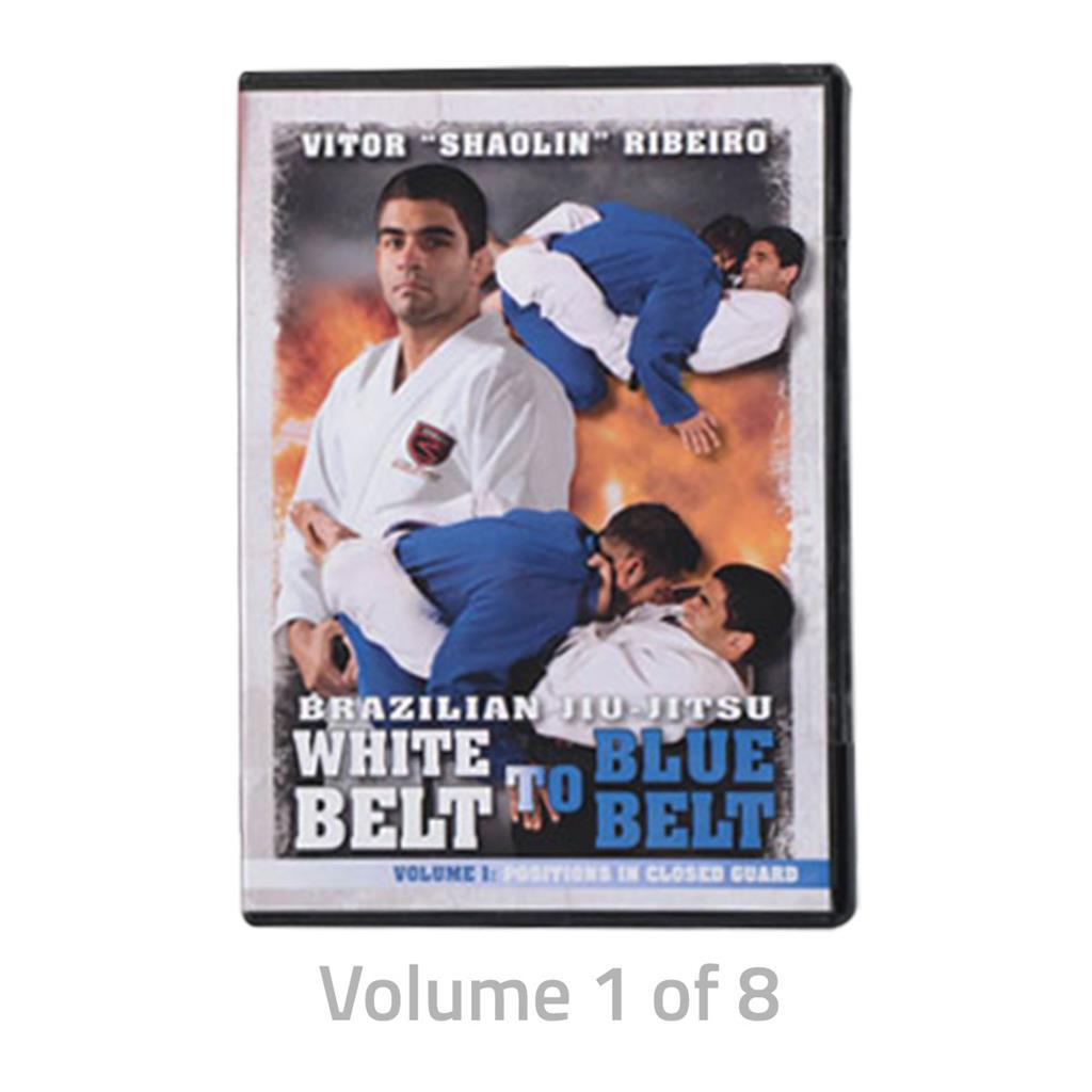 Brazilian Jiu-Jitsu White Belt to Blue Belt