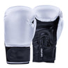 Century Solid Boxing Glove Silver