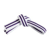 Double Wrap Double Striped White Belt White/Purple