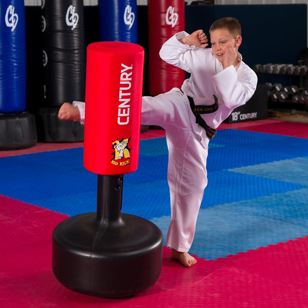 Century martial arts fitness training online station