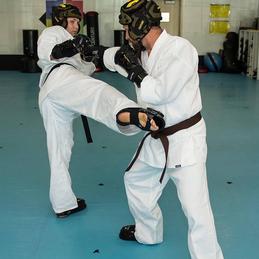 Spargear Century P2 Sparring Gear _ Student Sparring Gear – DYNF